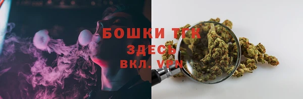 сатива Володарск